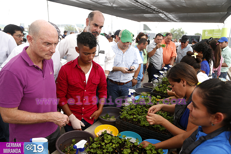 Nicaragua inicia producci&oacute;n masiva de plantas de caf&eacute; a trav&eacute;s de nuevas tecnolog&iacute;as