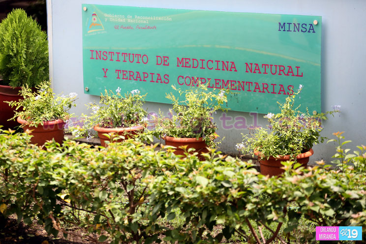 V Diplomado en Fitoterapia Cl&iacute;nica