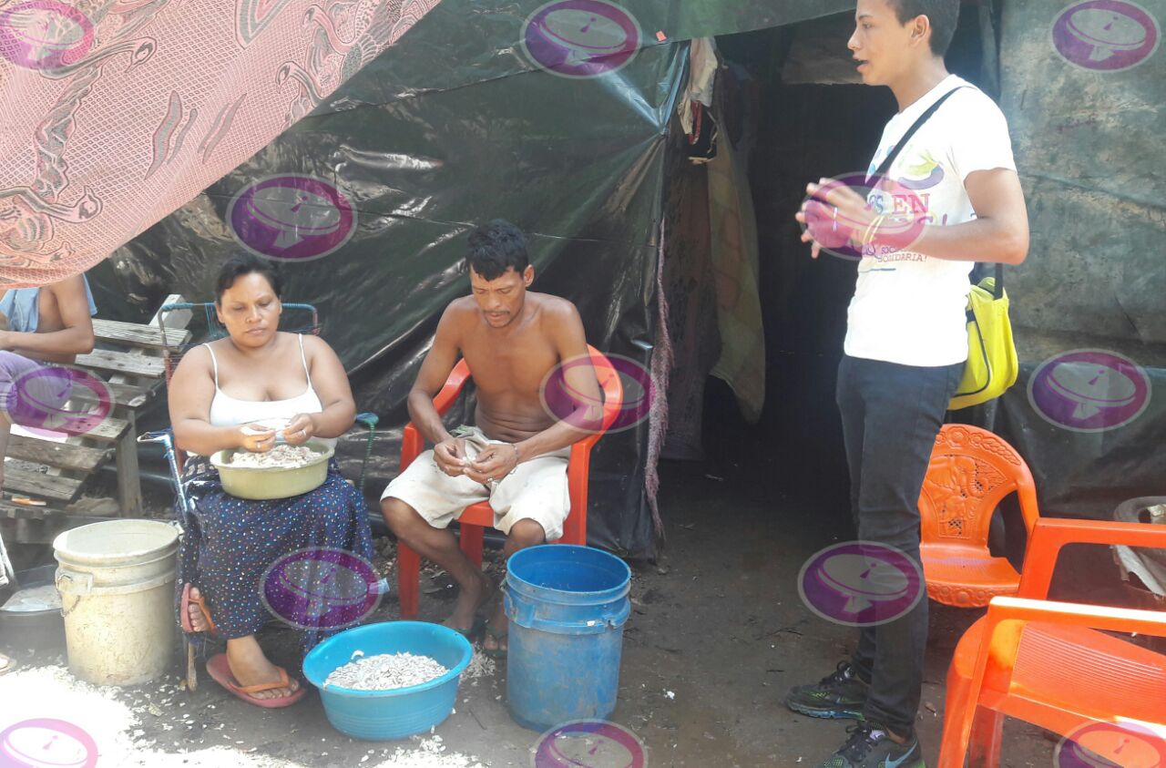 Promotor&iacute;a Solidaria
