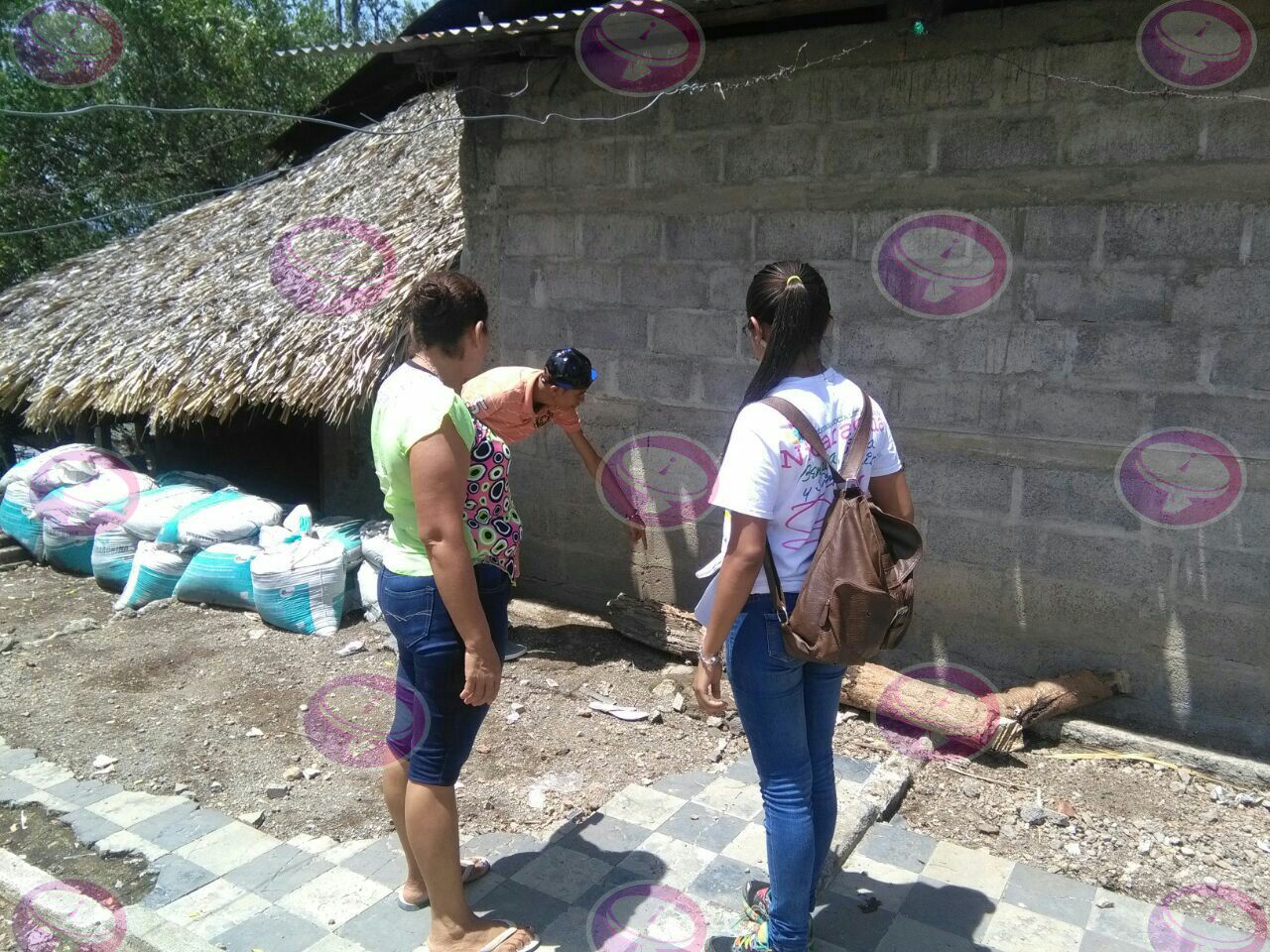 Promotor&iacute;a Solidaria