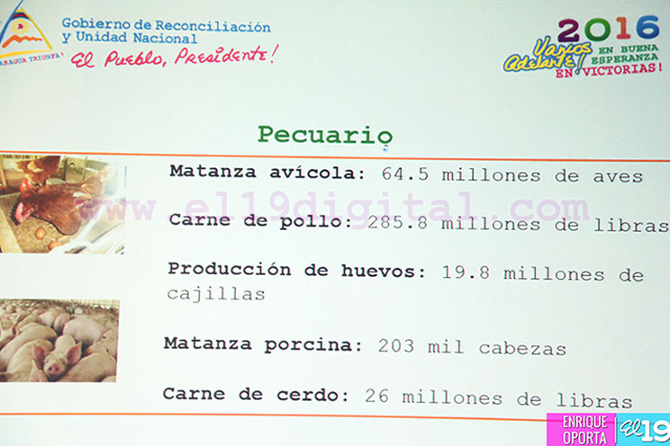 Presentan Plan del Ciclo Productivo 2016/2017