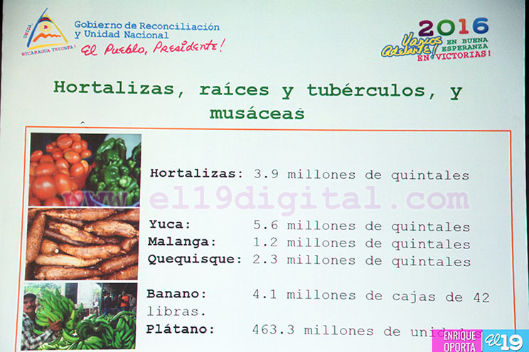 Presentan Plan del Ciclo Productivo 2016/2017
