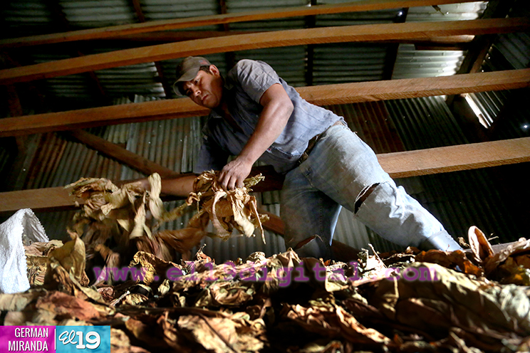Cooperativa El Coyol, Nueva Segovia