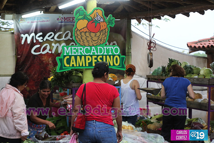 Feria de los frutos y las buenas cosechas en el parque de Ferias