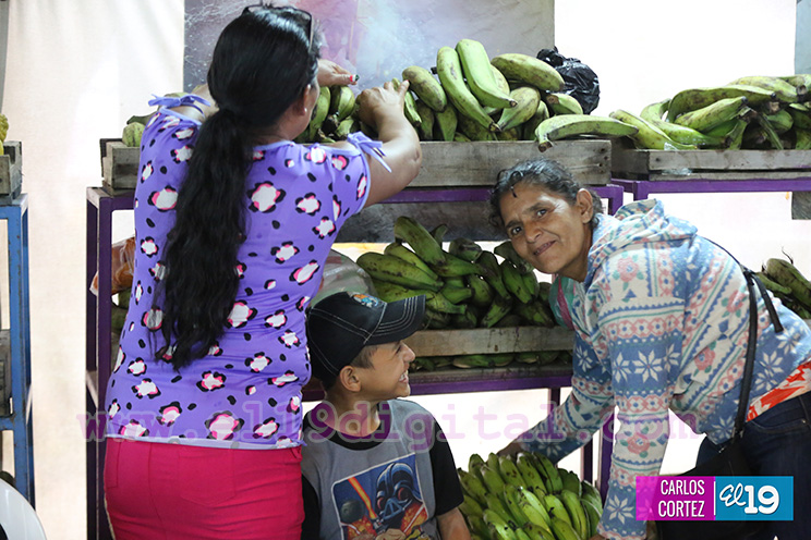 Feria de los frutos y las buenas cosechas en el parque de Ferias