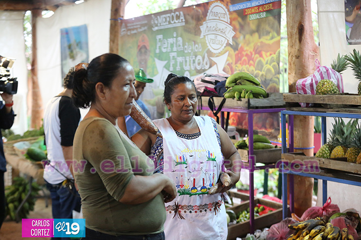 Feria de los frutos y las buenas cosechas en el parque de Ferias