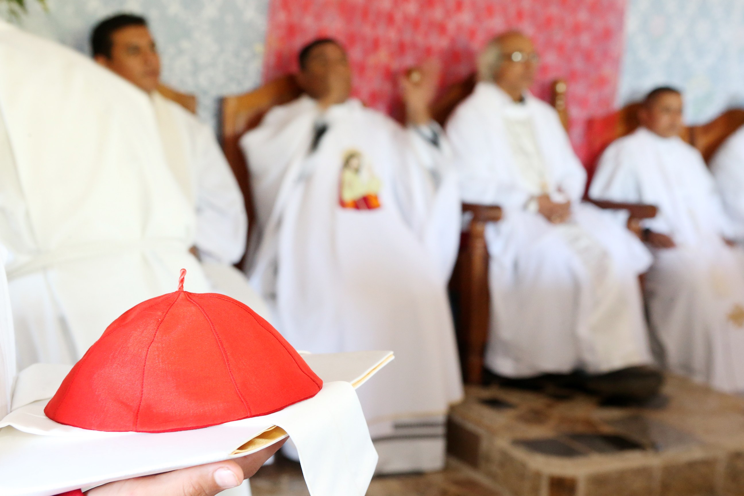 Cardenal Brenes