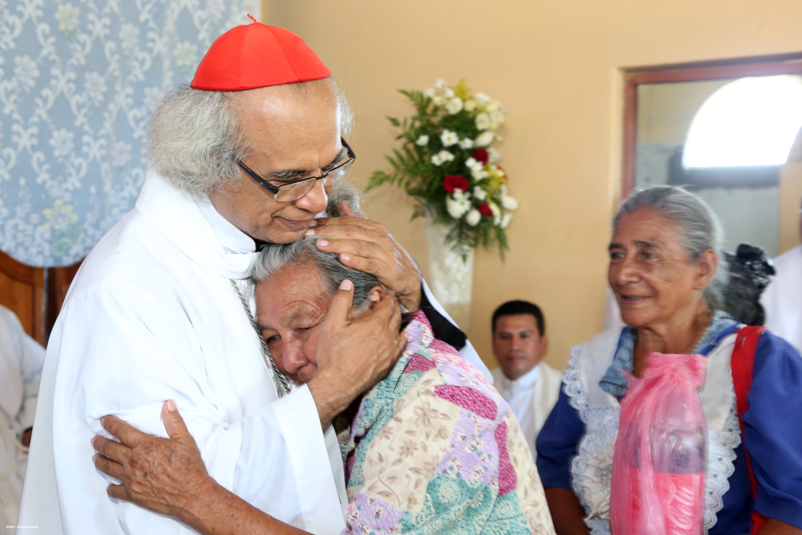 Cardenal Brenes