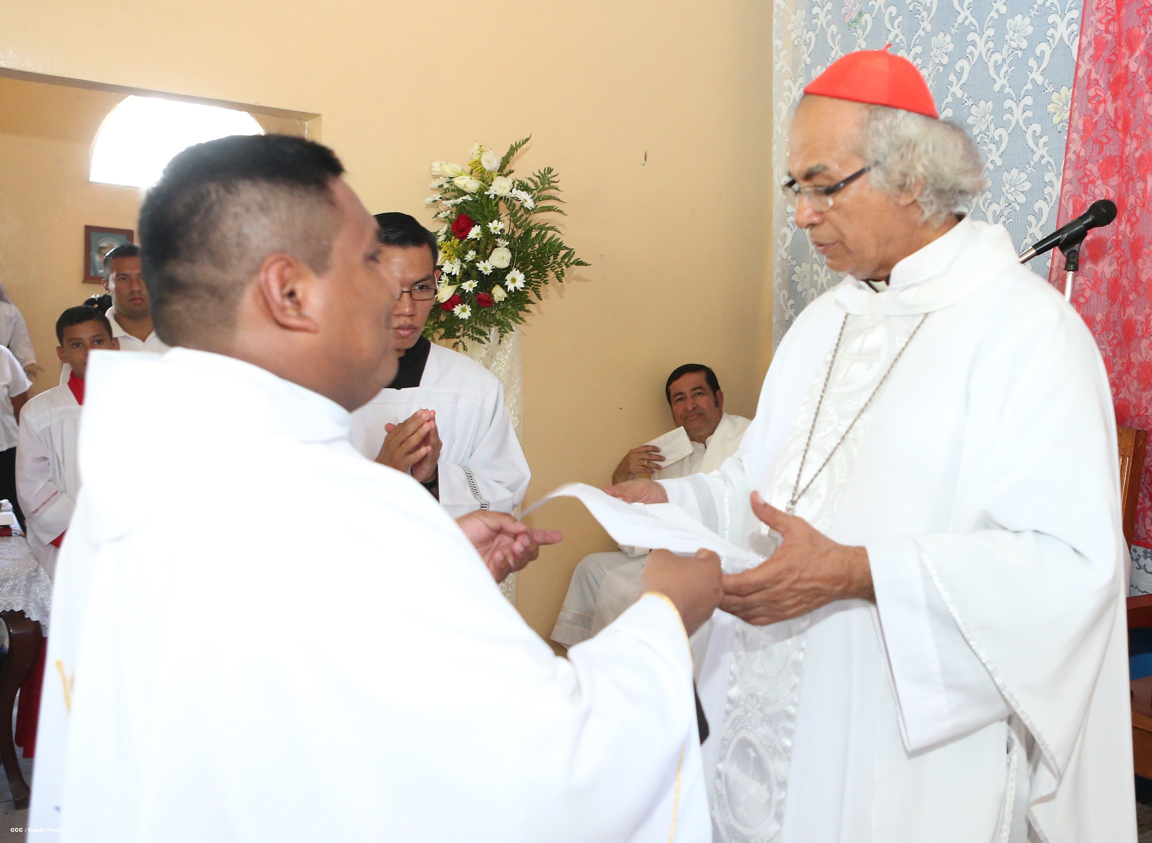 Cardenal Brenes