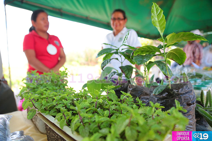 Estudiantes y productores celebran D&iacute;a de Campo en la Semana del Agr&oacute;nomo