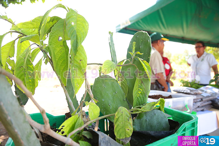 Estudiantes y productores celebran D&iacute;a de Campo en la Semana del Agr&oacute;nomo