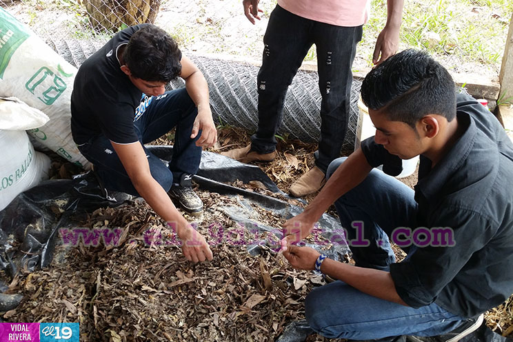 Llevando Educaci&oacute;n T&eacute;cnica a j&oacute;venes de Nueva Guinea