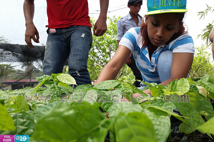 Llevando Educaci&oacute;n T&eacute;cnica a j&oacute;venes de Nueva Guinea