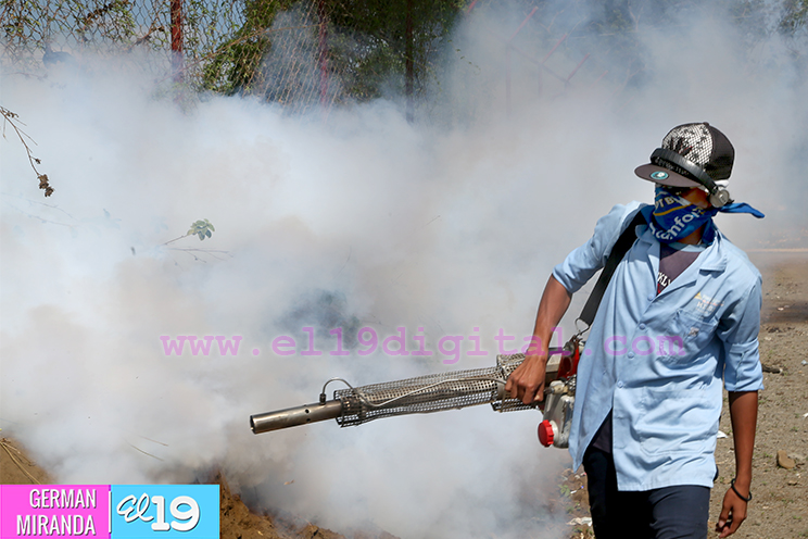 Fumigaci&oacute;n en Ciudad Bel&eacute;n