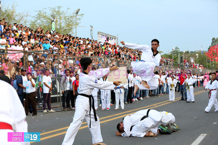 Carnaval Alegr&iacute;a por la Vida