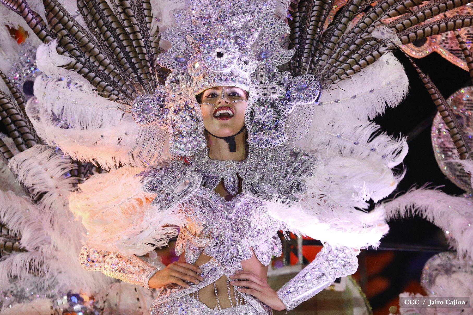 Carnaval Alegr&iacute;a por la Vida
