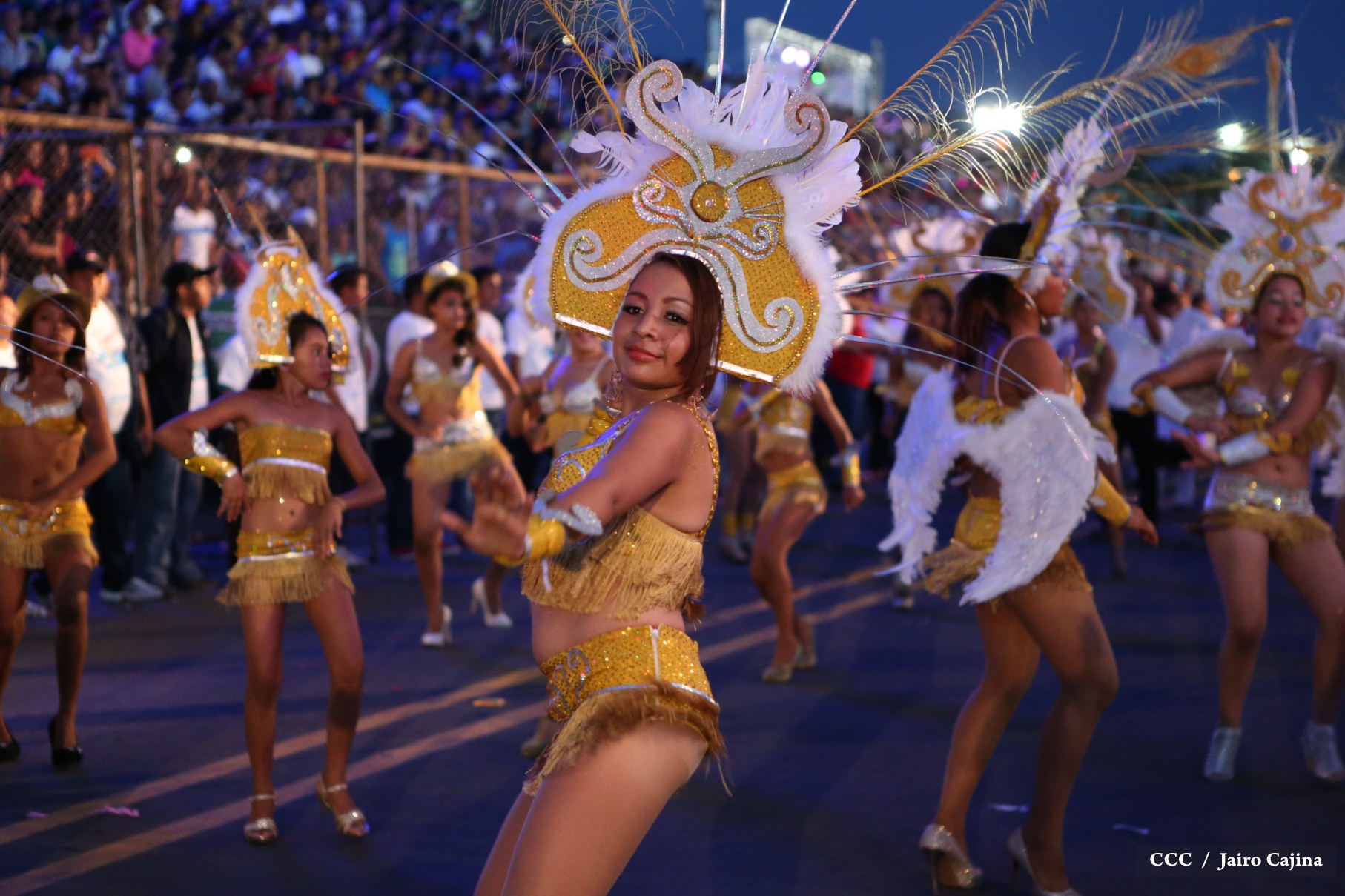 Carnaval Alegr&iacute;a por la Vida