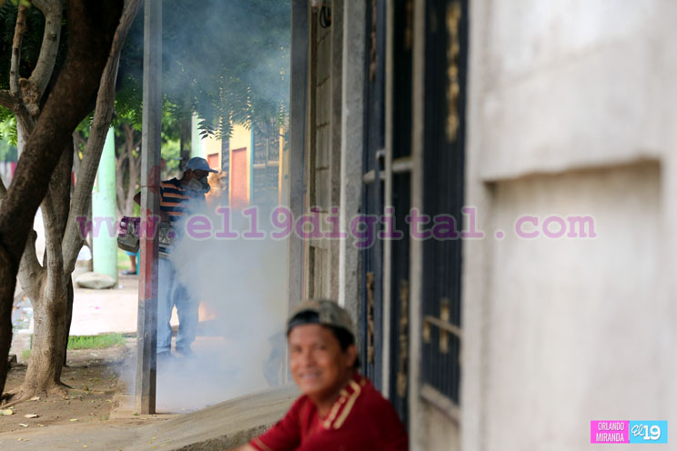 Se intensifica lucha contra las epidemias en los barrios