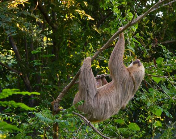 Nicaragua, pa&iacute;s amigable para el turismo familiar