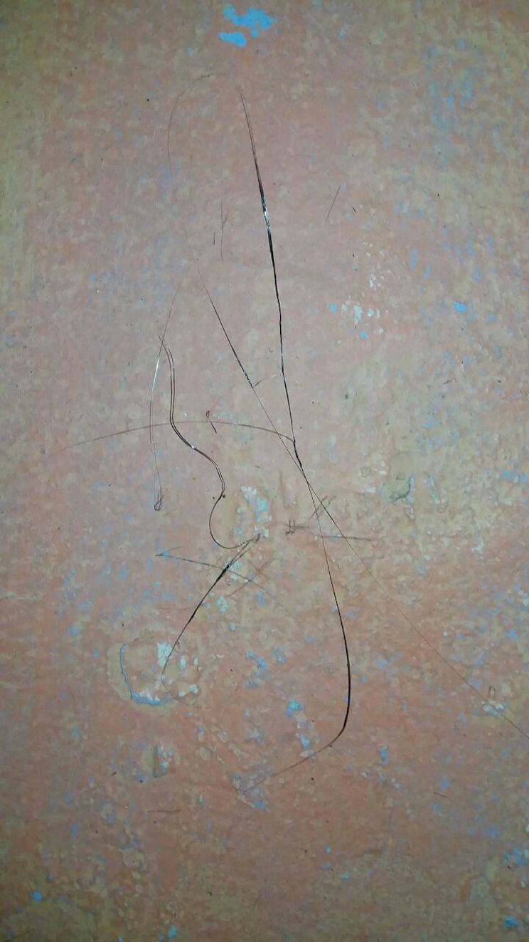 Cabello de Pel&eacute;