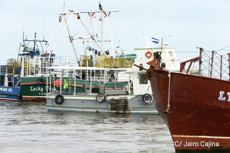 Bluefields