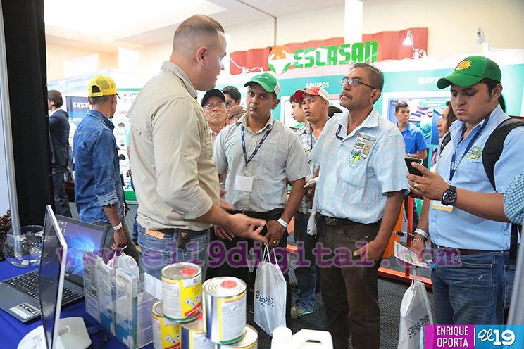 Expoapen