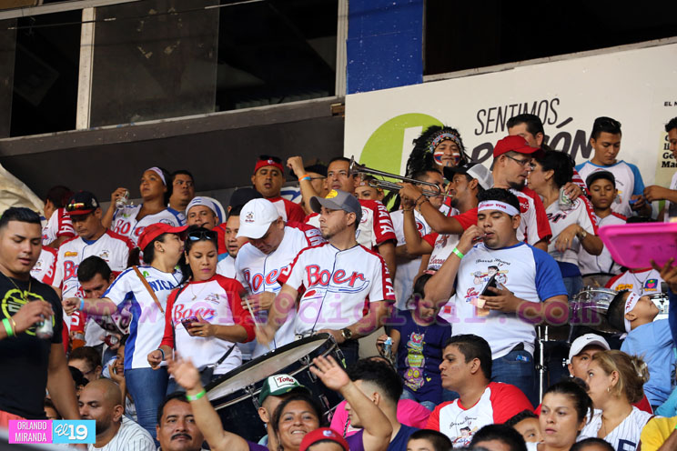 Estadio