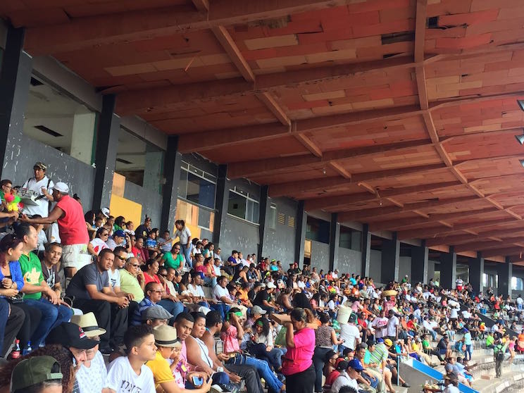 Estadio