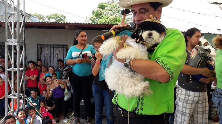concurso