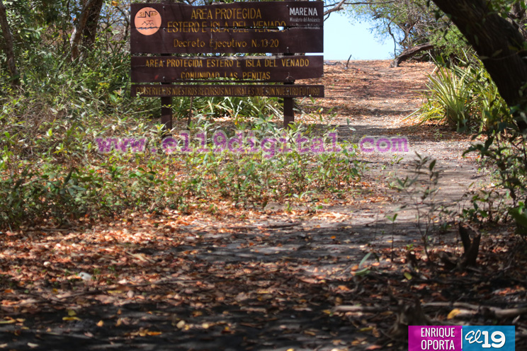 isla_juan_venado