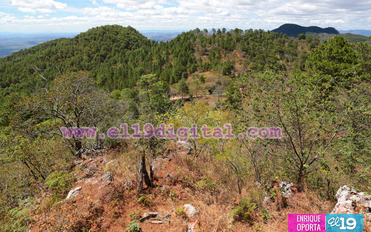 altos_ocotal