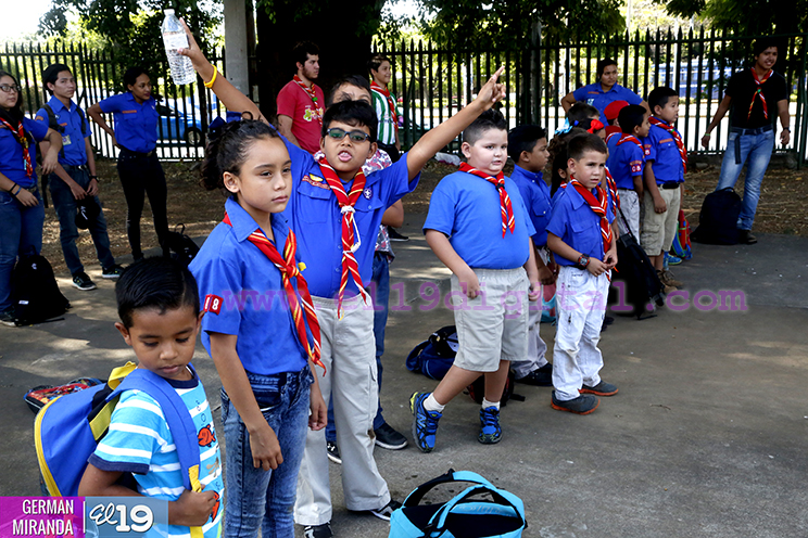 scouts