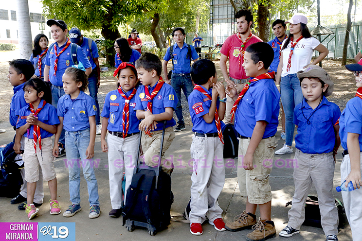 scouts