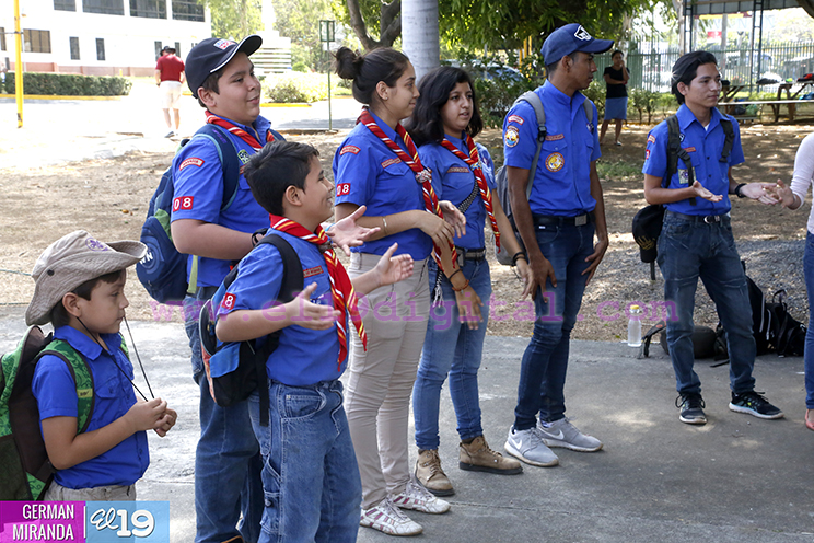 scouts