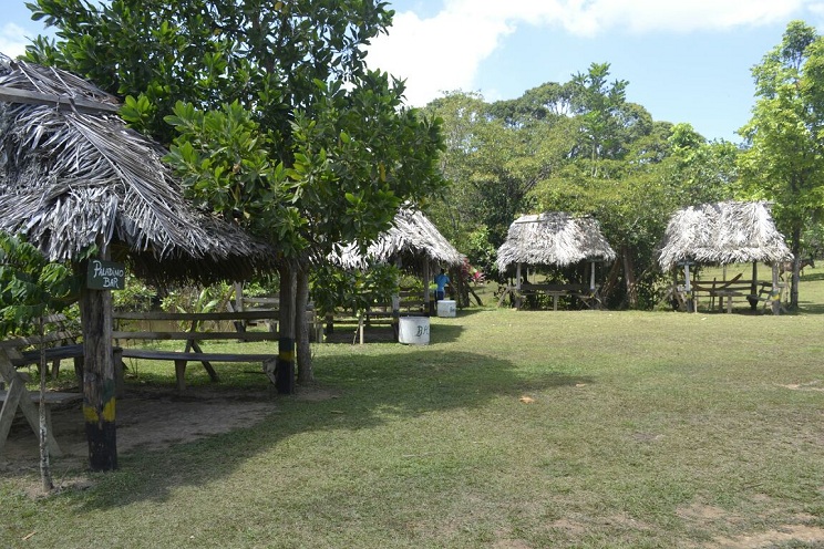 plan_verano_cribesur