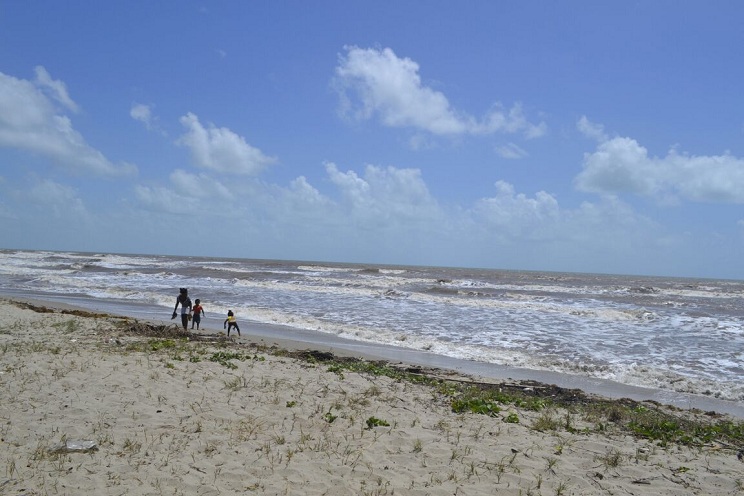 plan_verano_cribesur