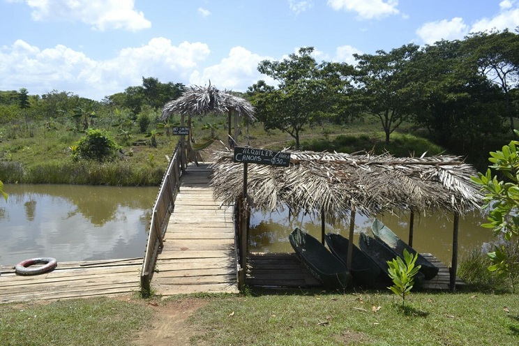 plan_verano_cribesur