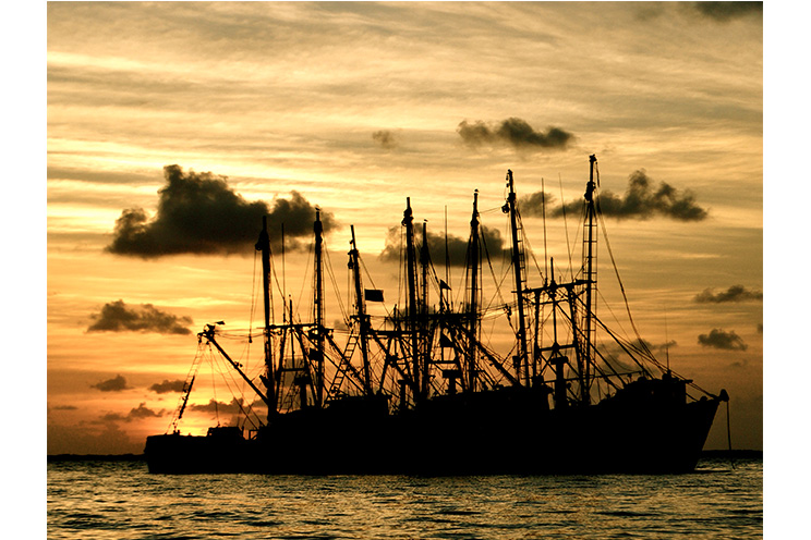 Bluefields