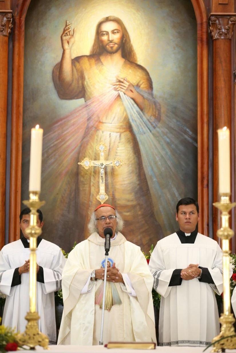 cardenal