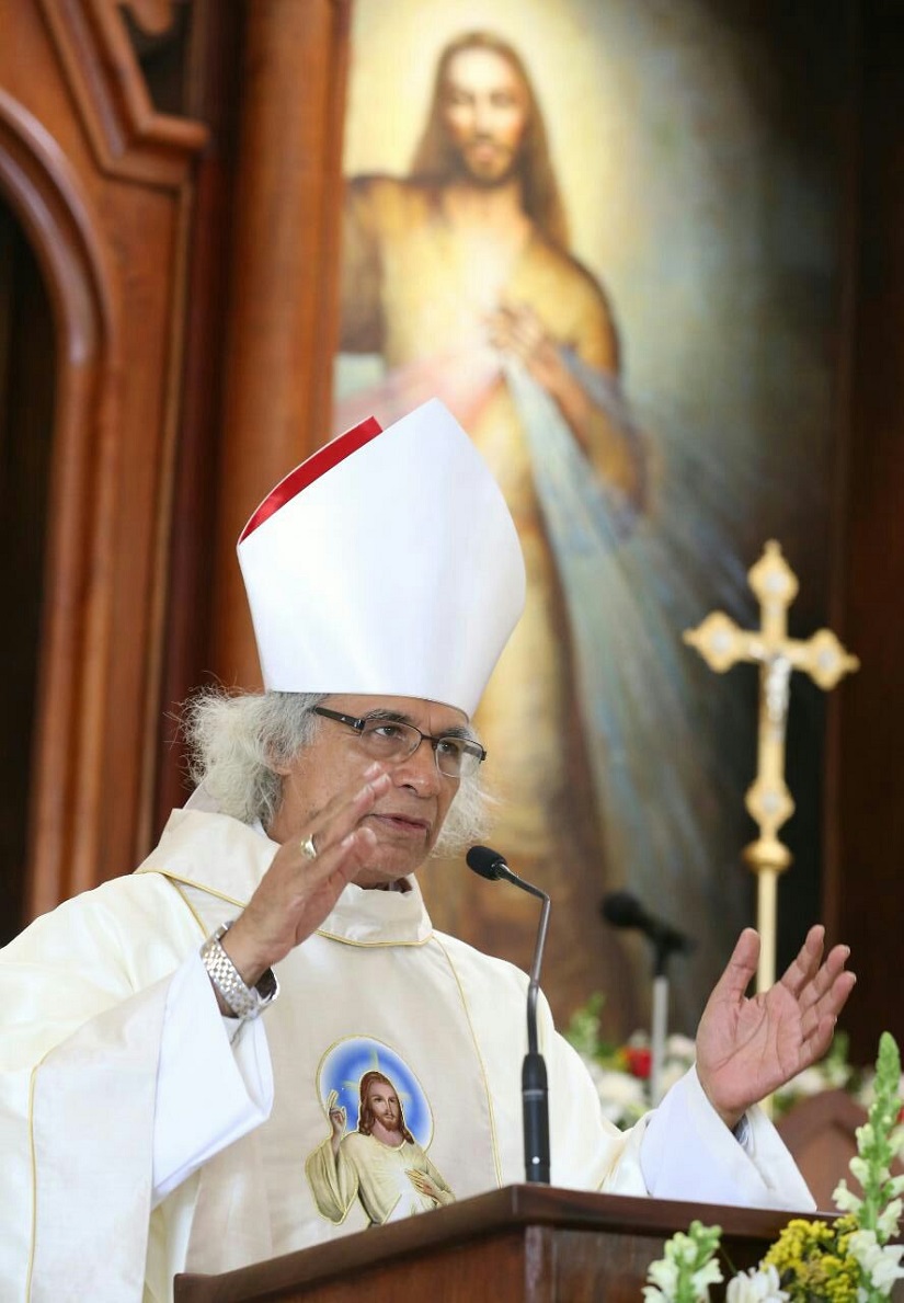 cardenal