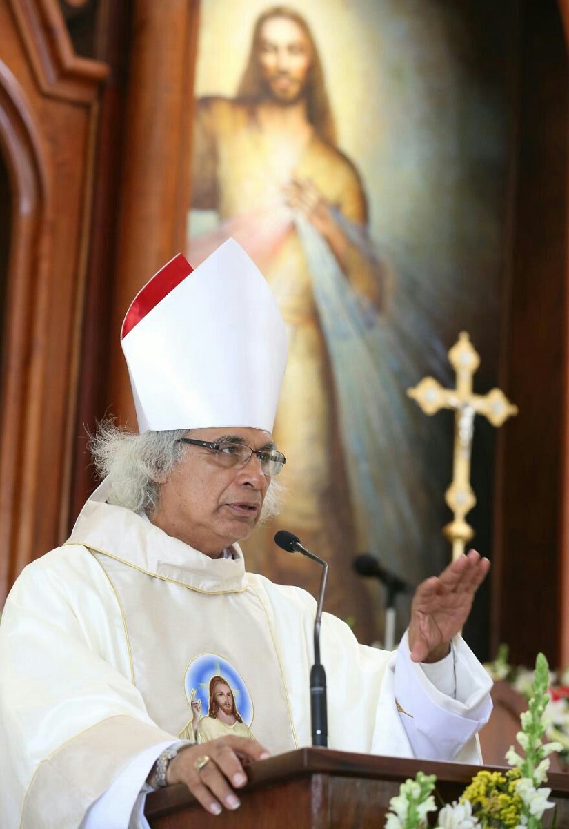 cardenal