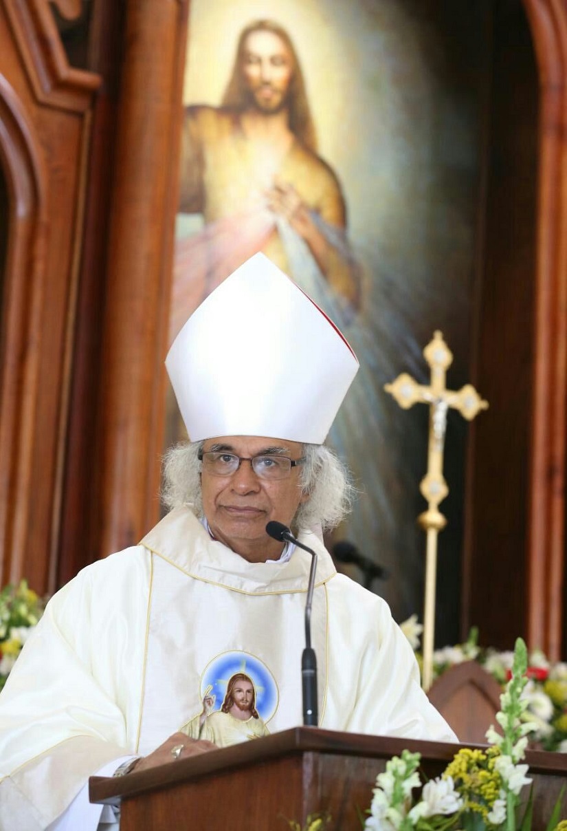 cardenal