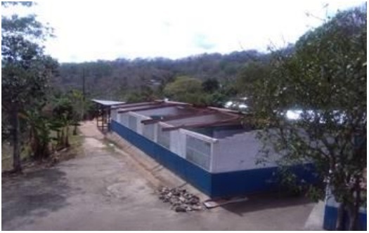 escuela