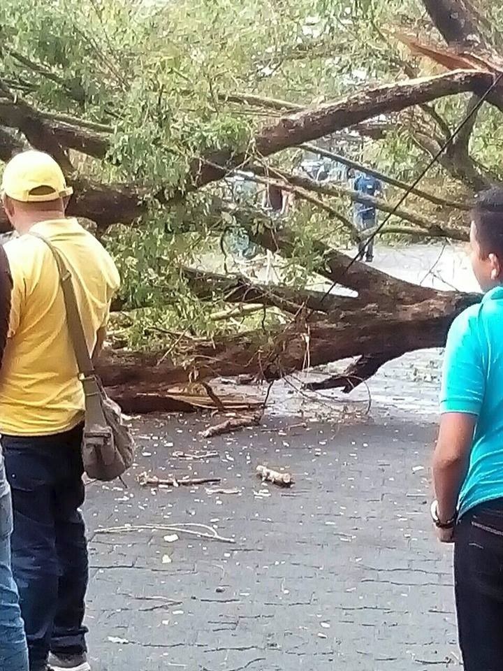 vientos