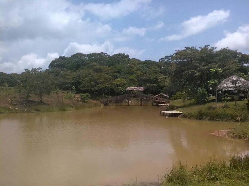 Bluefields