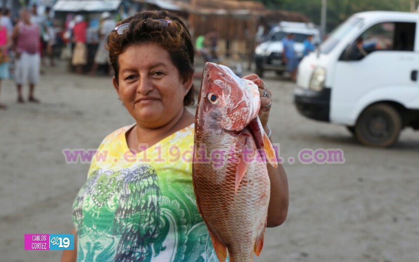 pesca