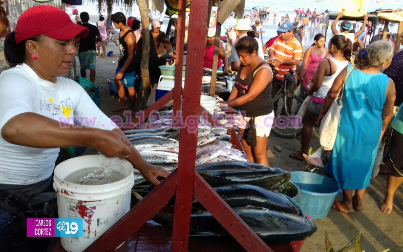 pesca