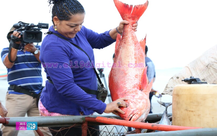 pesca