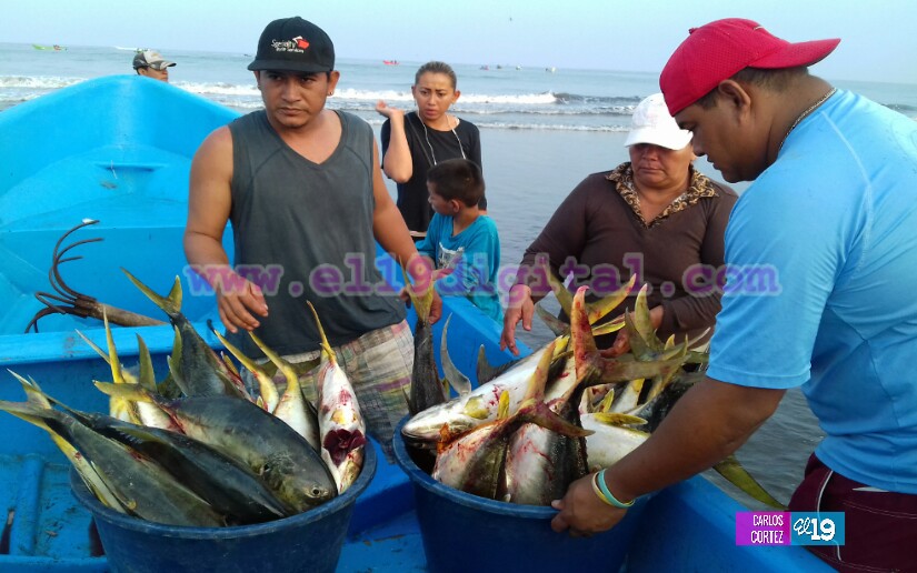 pesca