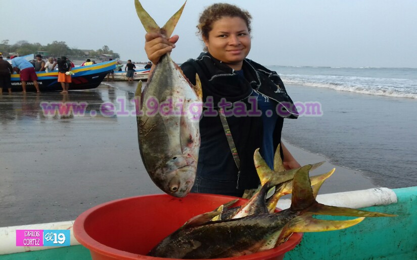 pesca